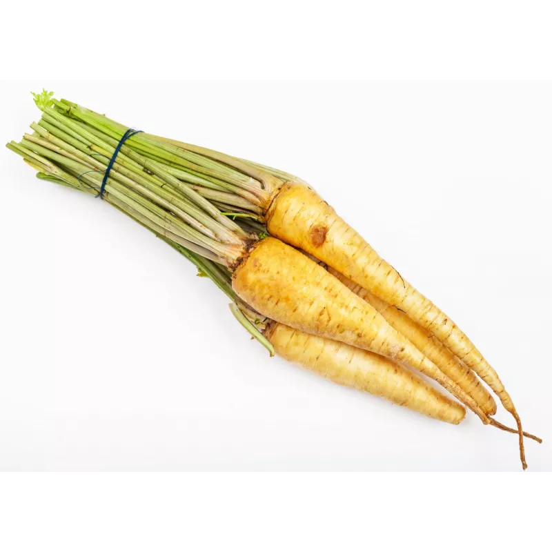 Olomouc Parsley Toraf Vegetable Seeds, 5g Package