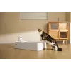 Self-cleaning cat litter box PETKIT T7-EU, white
