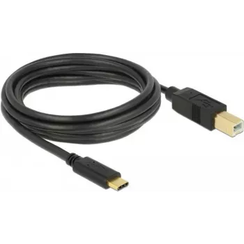 USB Cable DeLOCK 83666 USB 2.0 3m USB C USB B Black