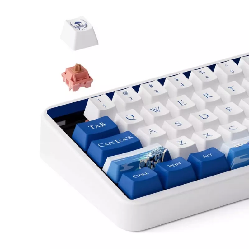 Mechanical keyboard AKKO JIN 01 Santorin 65% with Rosewood switches, ANSI layout