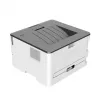 Pantum P3020D laser printer A4