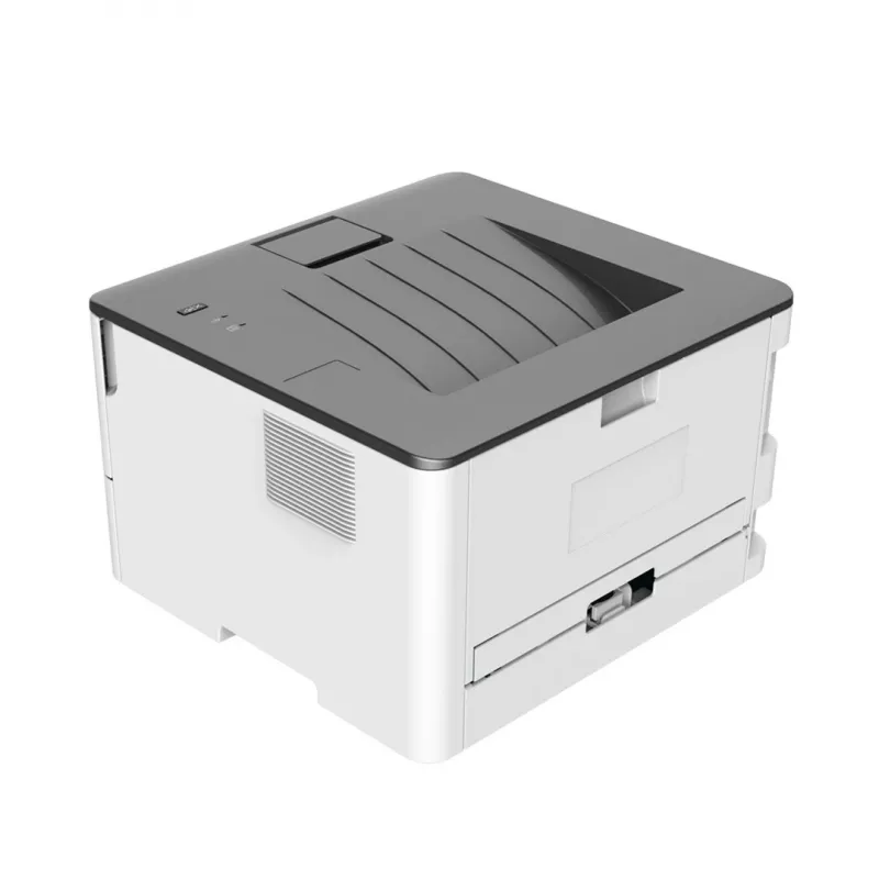 Pantum P3020D laser printer A4