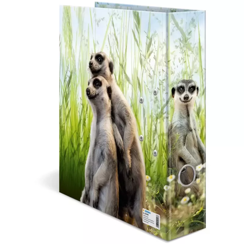 Ring binder HERMA 20048 A4 Multicolour D-ring Cardboard