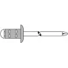 Blind rivet GESIPA PG Al/A2 4x10 mm RAL9010 White pack of 500