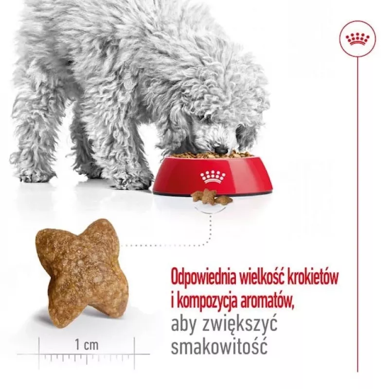 ROYAL CANIN Adult Mini S - dry dog food - 2kg