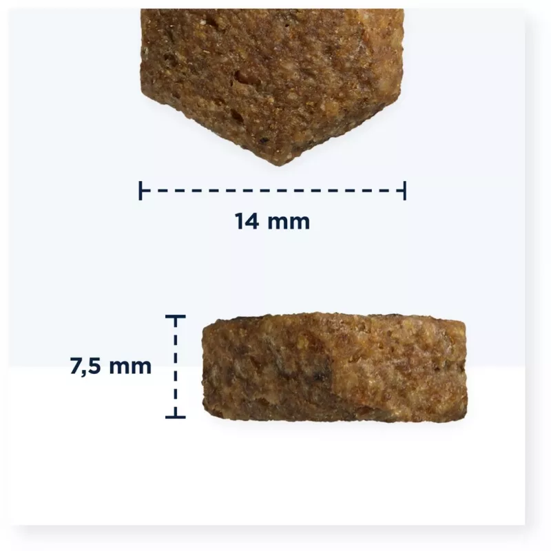 Dry dog food EUKANUBA Dermatosis FP Adult Fish & Potato 5 kg — grain-free, 22% protein, 15% fat