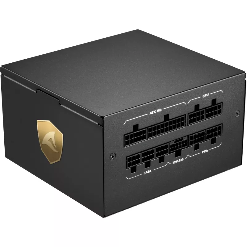 Sharkoon Rebel P20 power supply unit 1000 W 24-pin ATX ATX Black