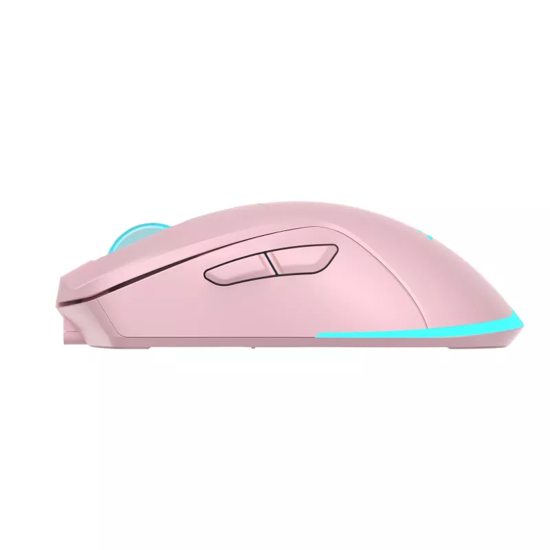 Mouse Baracuda BGM-124 Turtle Pink TURTLE-P