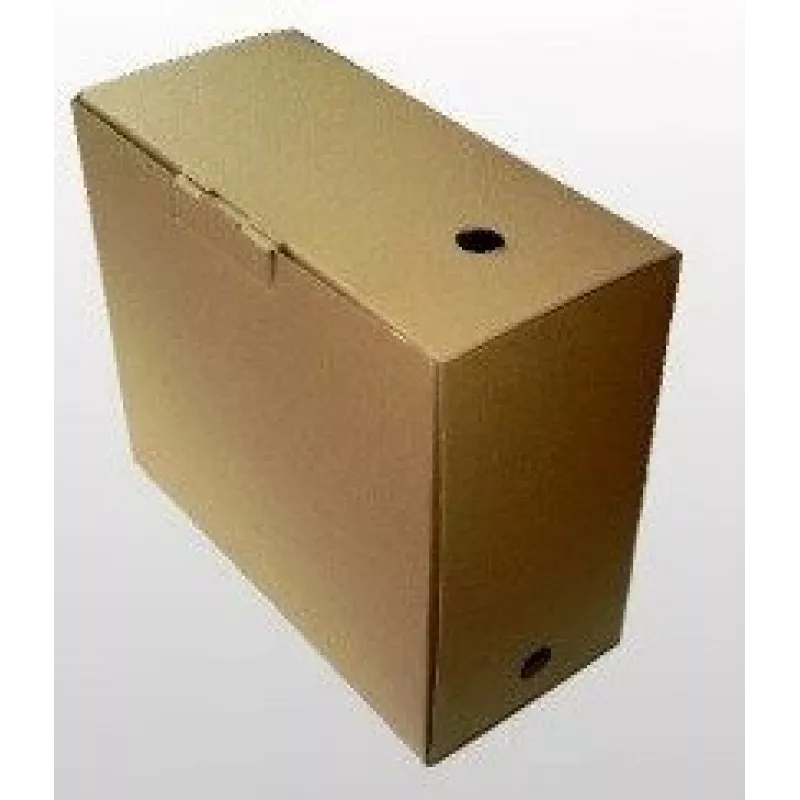 Archive box SMLT, 350x160x300mm, brown