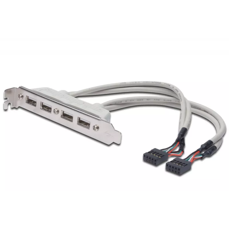 Slot Bracket Cable USB 2.0 HighSpeed Type 2xIDC (5pin)/4xUSB A M/F Grey 0.25m