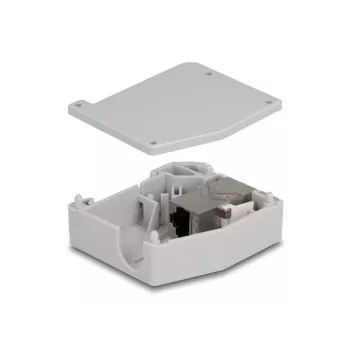 DeLOCK DIN rail Adapter RJ45 jack to RJ45 jack Cat.6A Grey