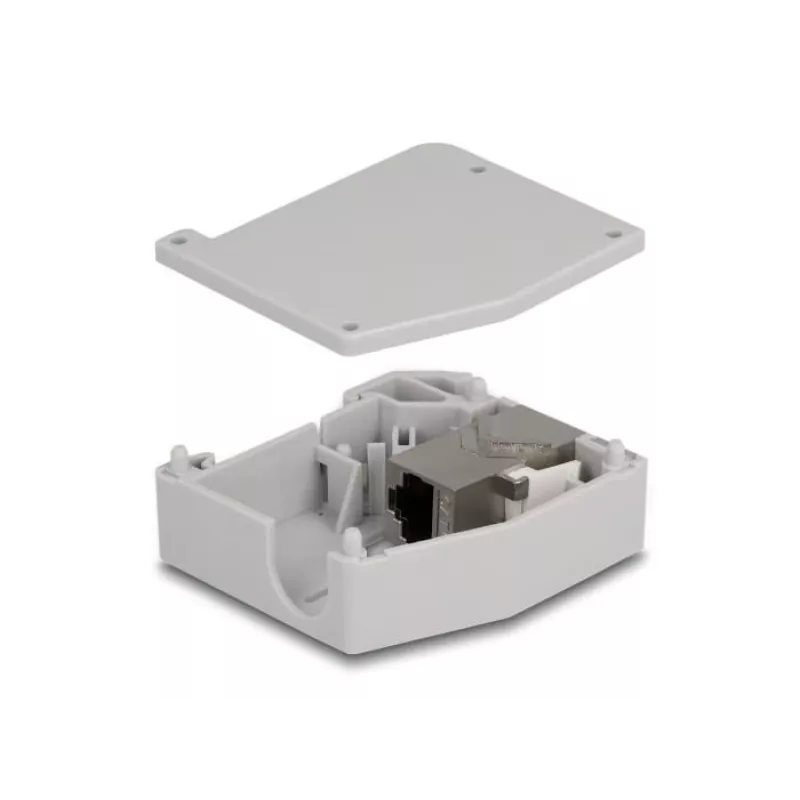 DeLOCK DIN rail Adapter RJ45 jack to RJ45 jack Cat.6A Grey