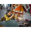 LEGO HARRY POTTER 76430 Hogwarts Castle Owlery