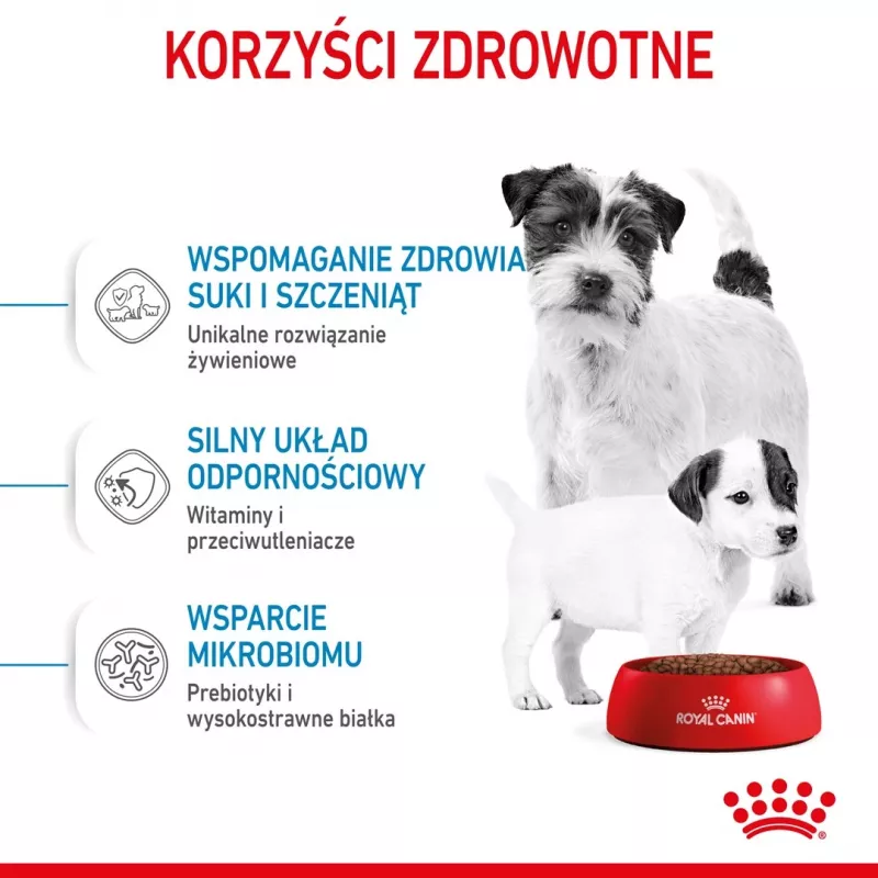 Dry Dog Food Royal Canin Starter Mother & Babydog 1 kg — Chicken, 30% protein, 22% fat