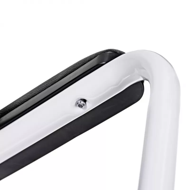 Toilet support rail ActionMed P100AM