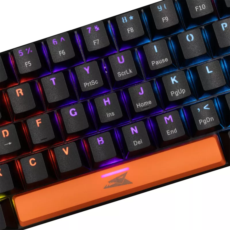 Mechanical Keyboard Baracuda Dolphin Black US layout with Red switches
