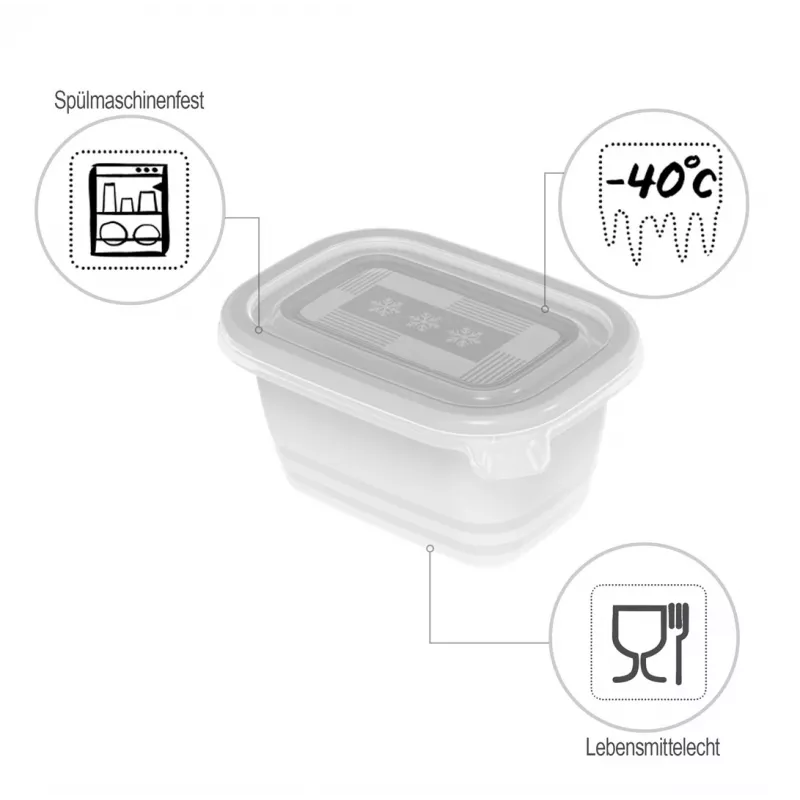 ROTHO Freeze - freezer container - 6x250ml