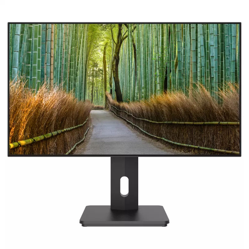 JAPANNEXT JN-27IPS4FLWQHDR-HSP 16 9 HDMI/DP WQHD - Flat Screen (TFT/LCD)