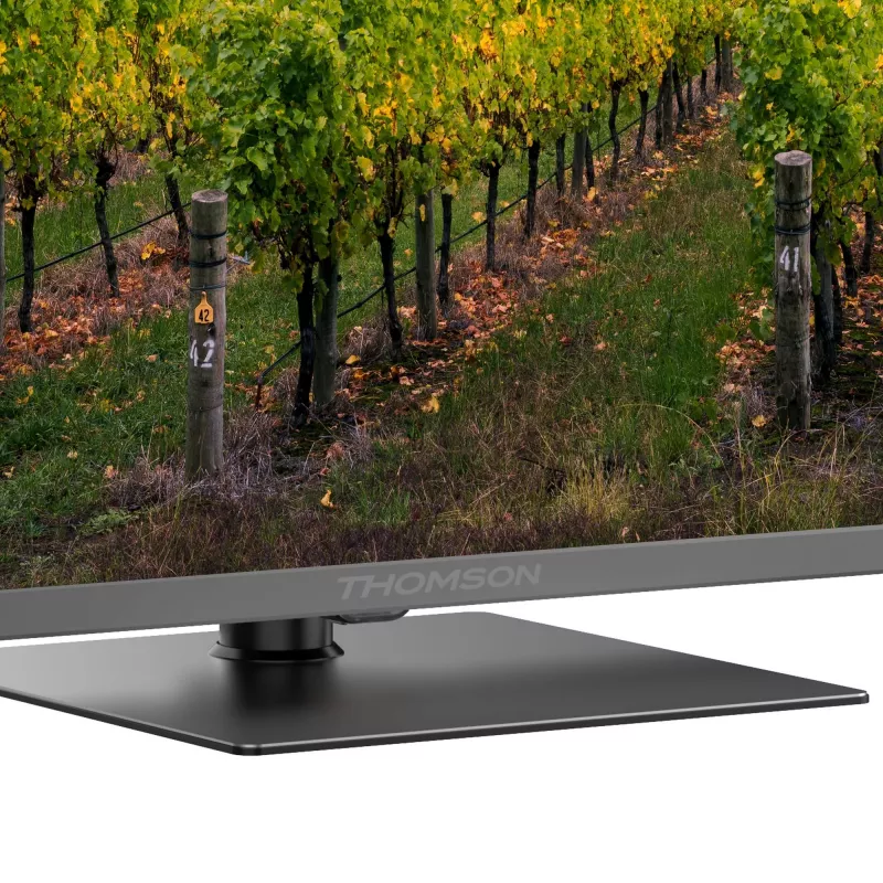 TV Set|THOMSON|65 |4K Ultra HD|3840 x 2160 pixels|Flat|QLED|65QG5C14