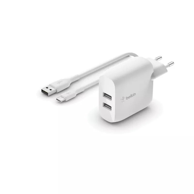 Mobile device charger Belkin WCE001VF1MWH