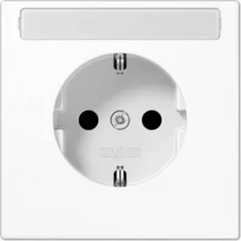 Jung Single-gang Insert Grounded Plug-Socket Outlet White LS1520N (LS1520N)