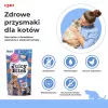 Wet cat treats INABA Juicy Bites Chicken and Tuna 3 x 11 g sachets, grain-free, protein 24%, moisture 71%
