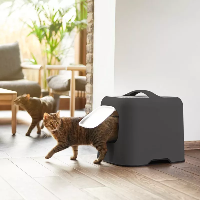 Rotho hooded cat litter box BIALA, anthracite plastic, 395×510×443 mm with spatula