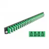 Splice Box Front Panel DeLOCK 19 inch 43370 24 port LC Quad green