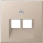 Jung Cover Plate A569-2BFPLUACH (A569-2BFPLUACH)