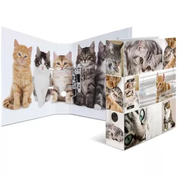 Ring binder HERMA 7166 Multicolour