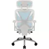 Ergonomic Office Chair thunder x3 TEGC-3073102.B1 — White and Blue upholstery, adjustable armrests, high backrest