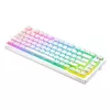 MECHANICAL KEYBOARD SAVIO