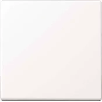Wall plate / switch cover Jung A590WWM, screwless plastic, single gang