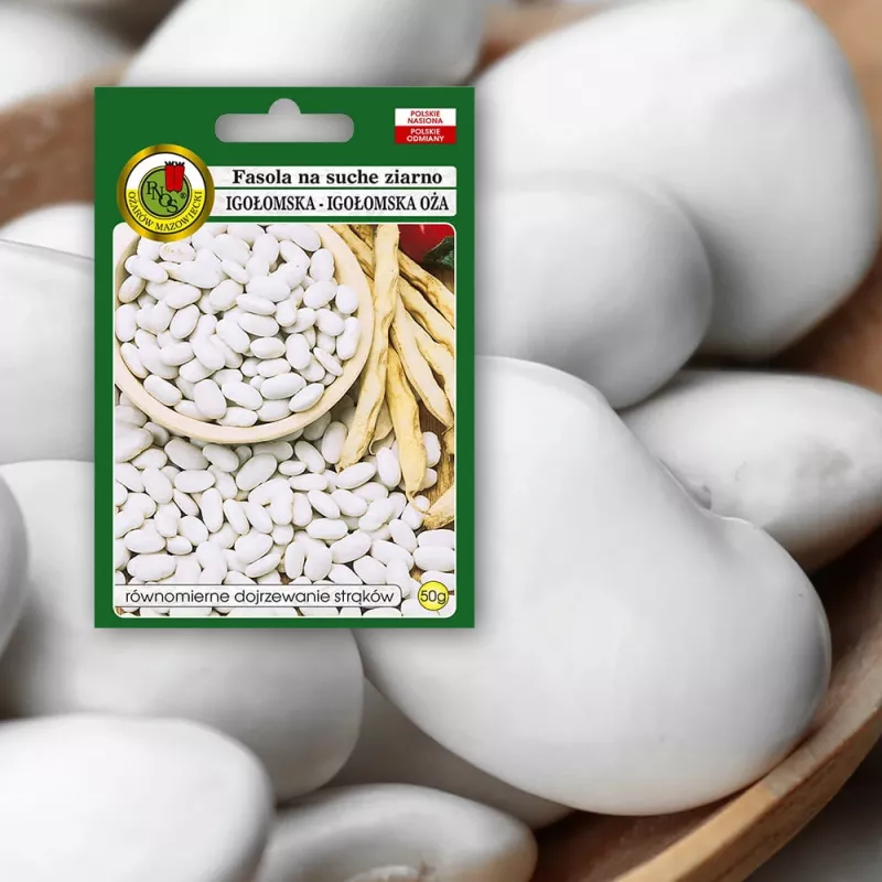 Seed packet Seklos LT PNOS — dry bean 'Igłomska' seeds, 50 g