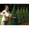 Hedge Trimmer Black & Decker GSL300 Double Blade 600g Battery 3.6V