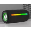 Stereo portable speaker TRACER Stripe Black — 10 W RMS, Bluetooth/Wired, USB-A & USB-C, MicroSD, built-in battery (up to 5 h)