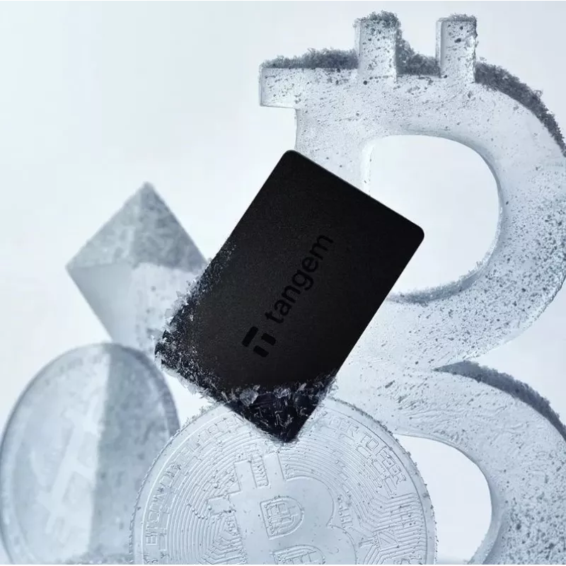 Tangem Wallet cryptocurrency wallet - 2 cards