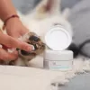 Ointment VETEXPERT Paw Protection 75 ml — paw care for dogs and cats, suitable for all breeds and ages