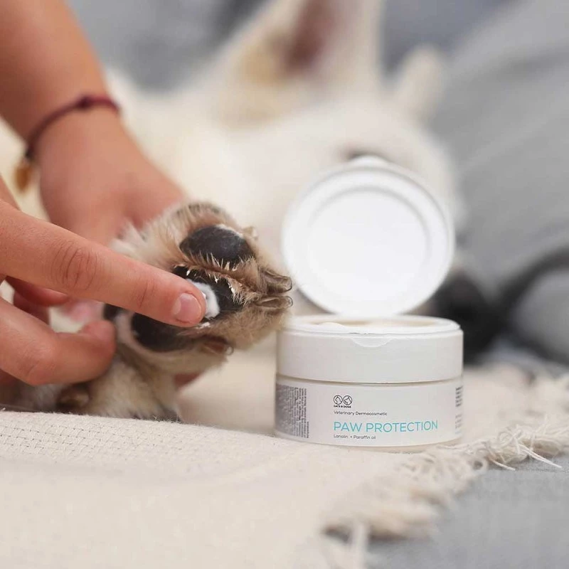 Ointment VETEXPERT Paw Protection 75 ml — paw care for dogs and cats, suitable for all breeds and ages