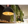 Smart bulb Shelly Vintage ST64 Wi-Fi Transparent 230V