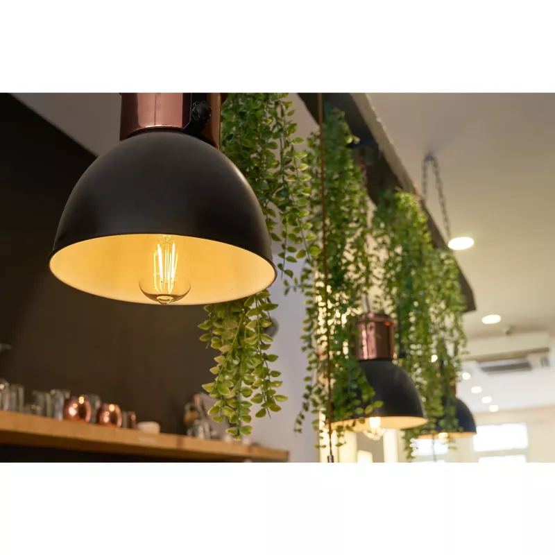 Smart bulb Shelly Vintage ST64 Wi-Fi Transparent 230V