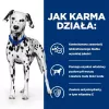 HILL'S PRESCRIPTION DIET Urinary Care Canine u/d Dry dog food 10 kg
