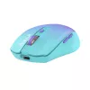 Wireless Mouse Tellur Silent Click TLL491331 USB