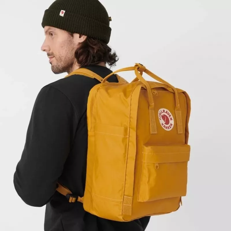 FjÄllrÄven 0001447400018407