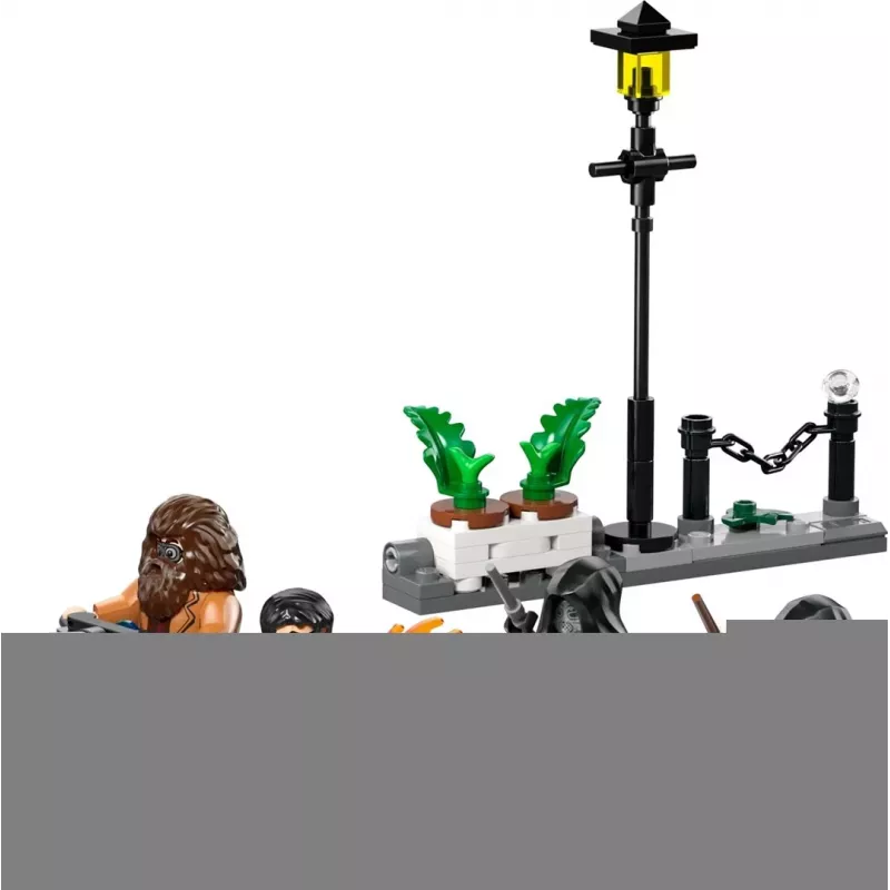 LEGO HARRY POTTER 76459 Hagrid and Harry's Privet Drive Escape
