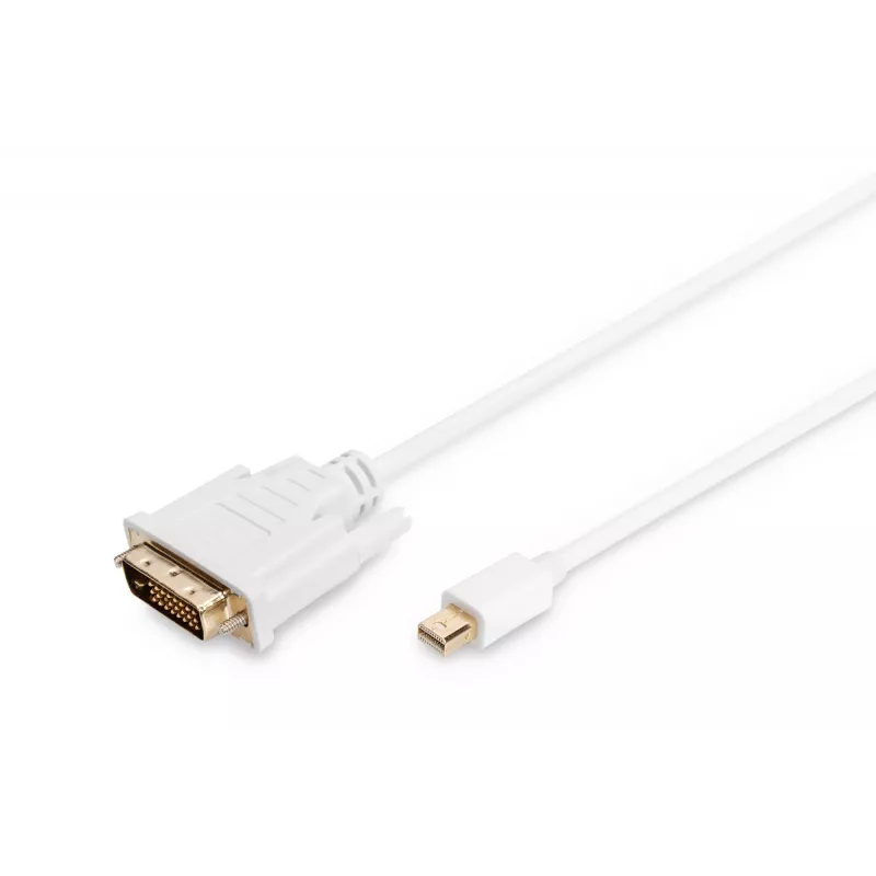 Cable DisplayPort 1.1a mini DP-DVI tyPA MM 2.0m