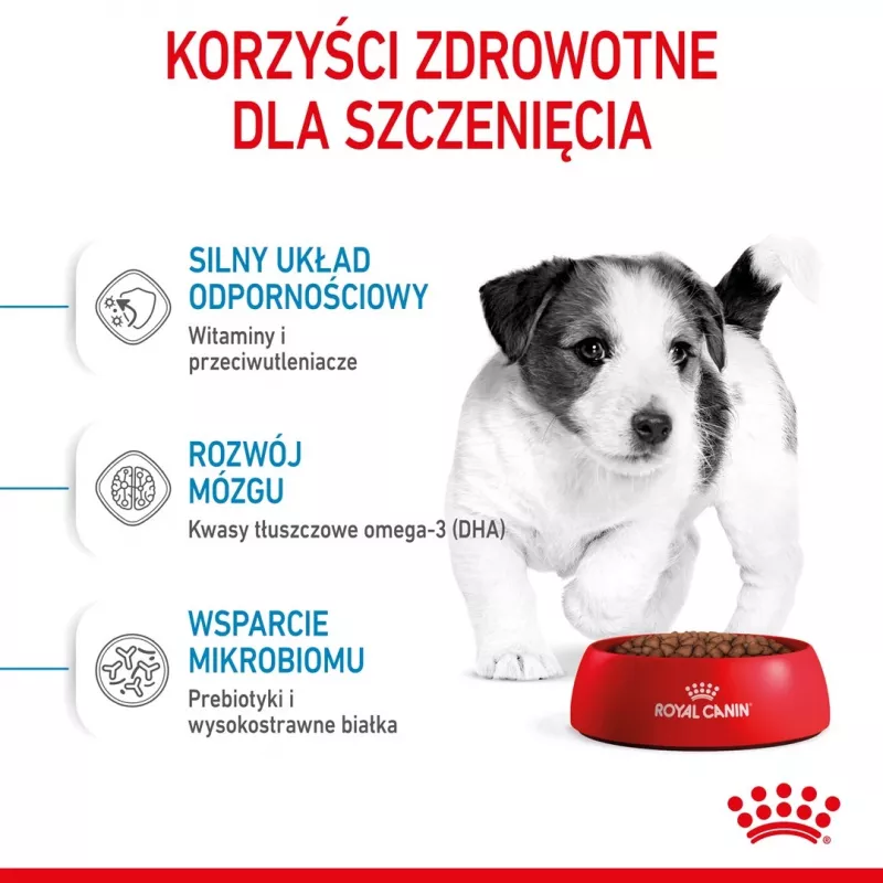 Dry dog food Royal Canin Mini Puppy 2 kg — small breeds, chicken, 31% protein