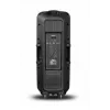 Portable Speaker APA24 Bluetooth Karaoke, Black