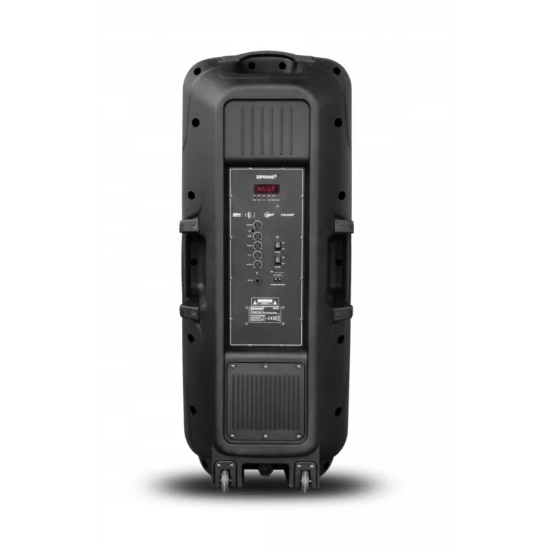 Portable Speaker APA24 Bluetooth Karaoke, Black