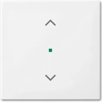 Busch-Jaeger 2CKA006220A0357 Cover Plate for Sensor Holder & -Socket White (2CKA006220A0357)